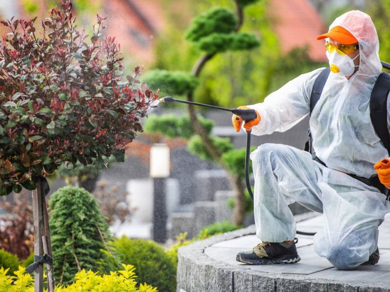 Buruncuk Haşere İlaçlama