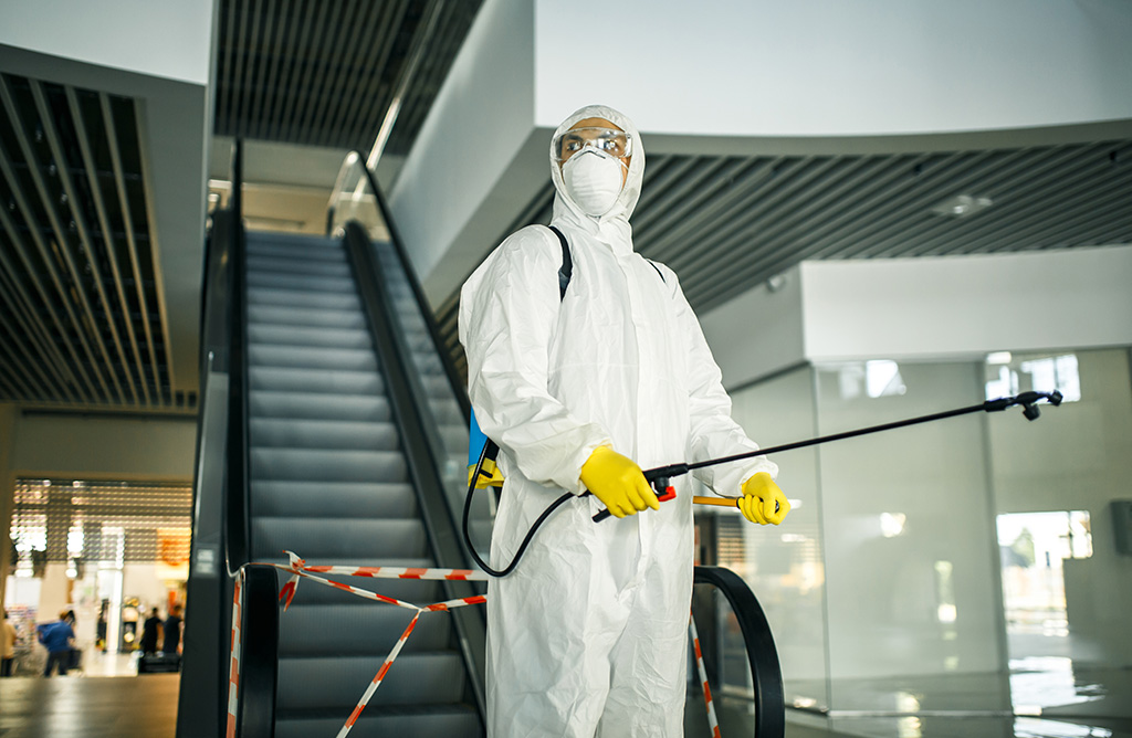 Buruncuk Haşere İlaçlama